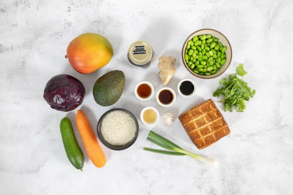 Tofu, Mango, Karotte, Avocado, Edamame und Koriander kunstvoll in einer Bowl arrangiert