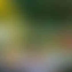 Tomaten Bruschetta in der Salem Seebar