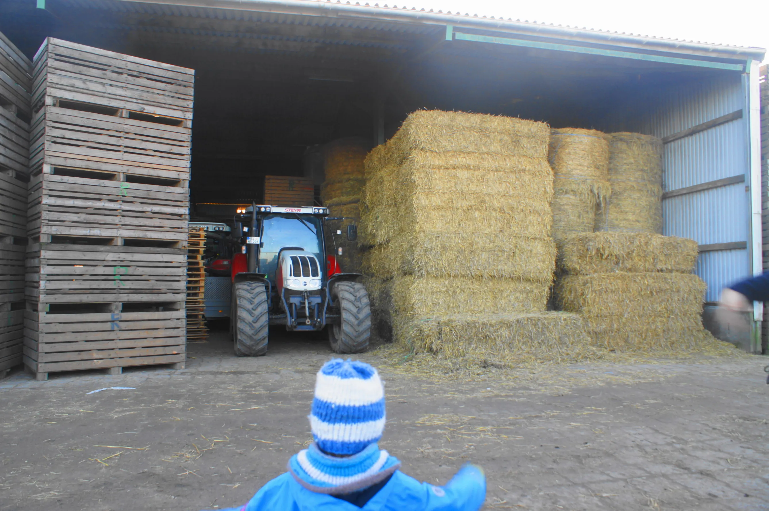 Traktor-Action auf dem Bauernhof: Ein unvergessliches Erlebnis für kleine Jungs.