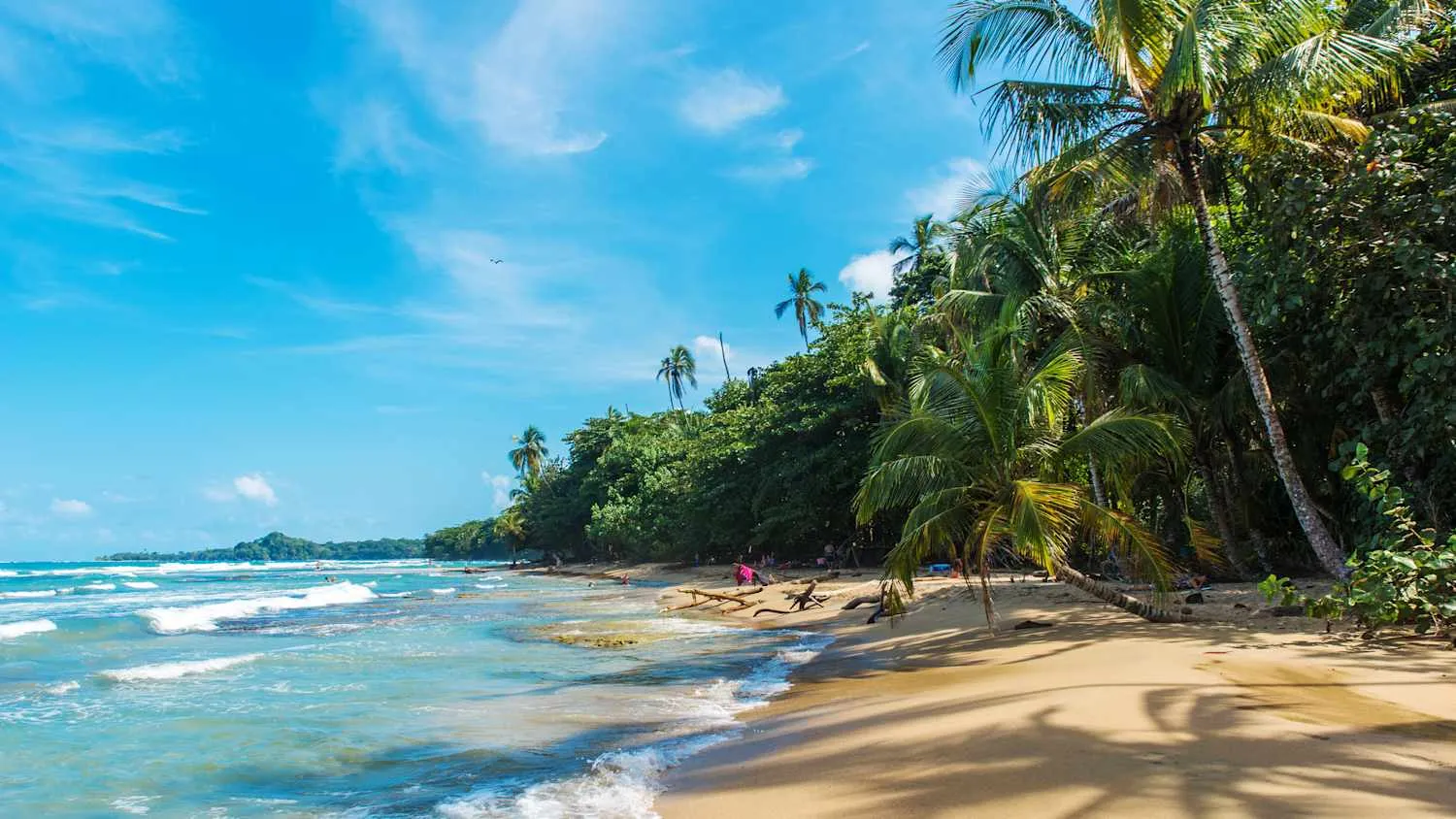 Traumhafte Palmen an einem hellen Sandstrand in Costa Rica, ein idyllisches warmes Reiseziel im März.
