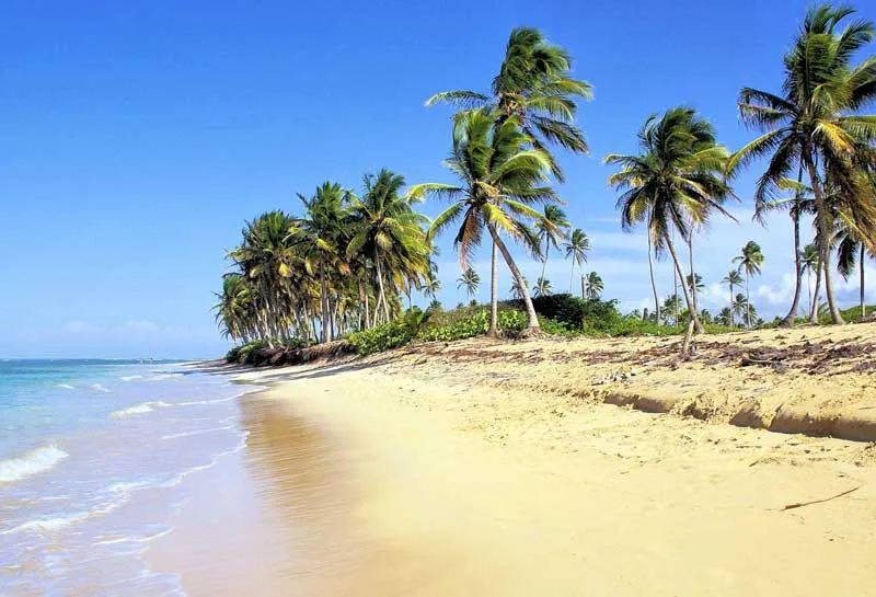 Traumhafter Bavaro Beach in der Karibik mit Palmen und türkisblauem Meer