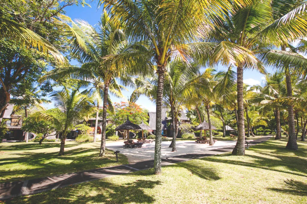 Traumstrand auf Mauritius mit Palmen und azurblauem Wasser, perfekt für Juni-Reisen.