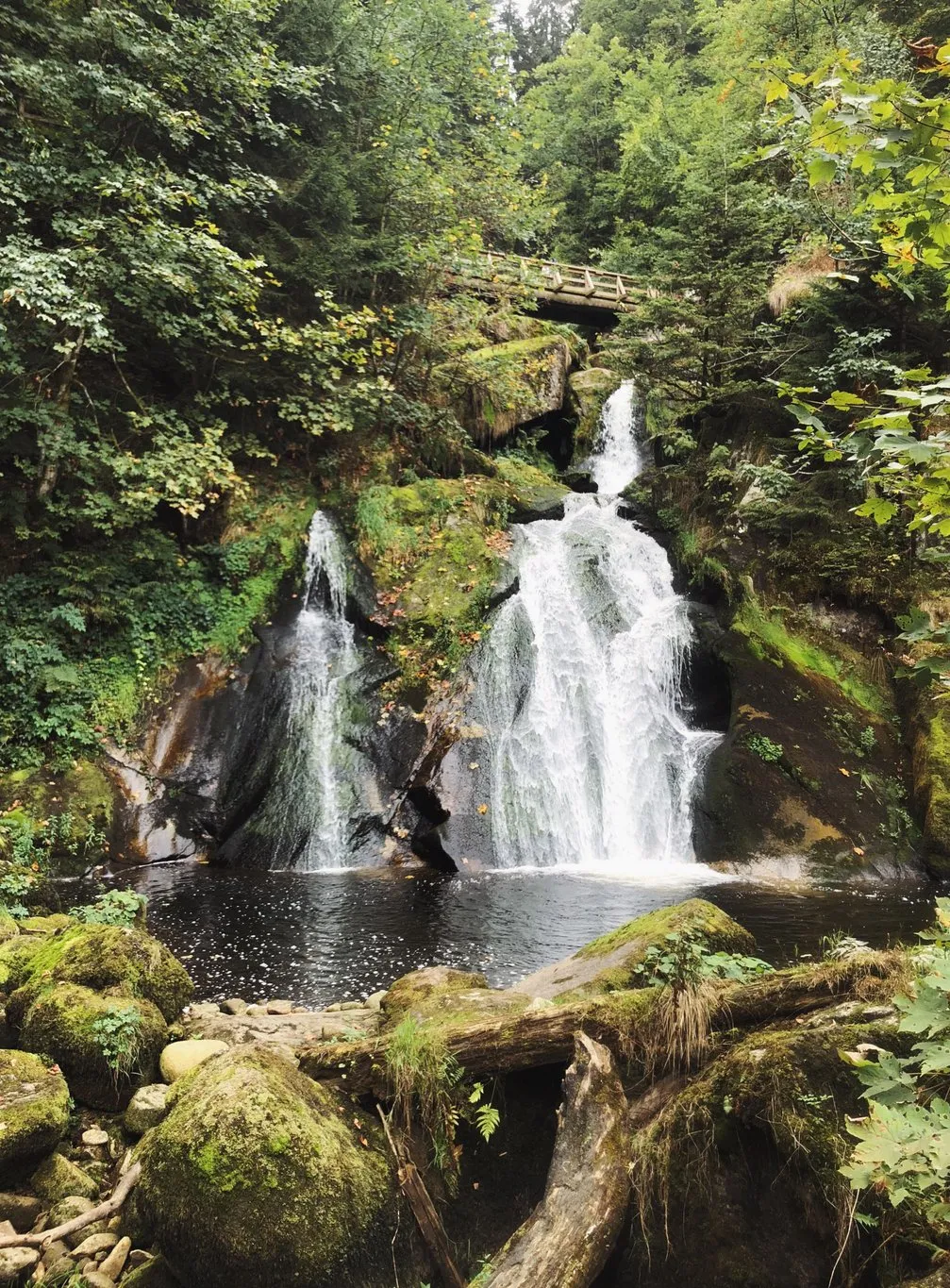 Triberger Wasserfälle im Schwarzwald, ein mehrstufiger Wasserfall inmitten des Waldes