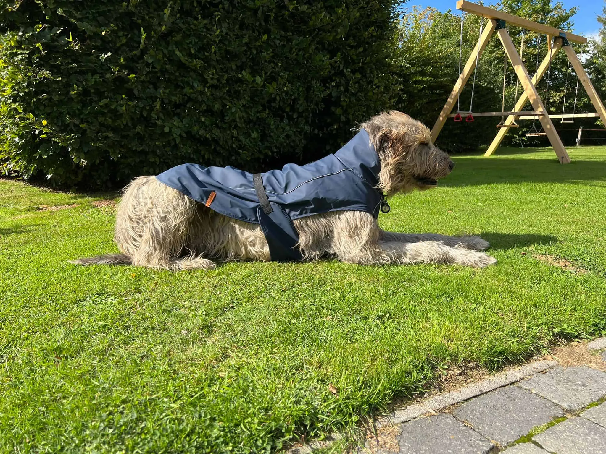 TRIXIE Hunderegenmantel Husum