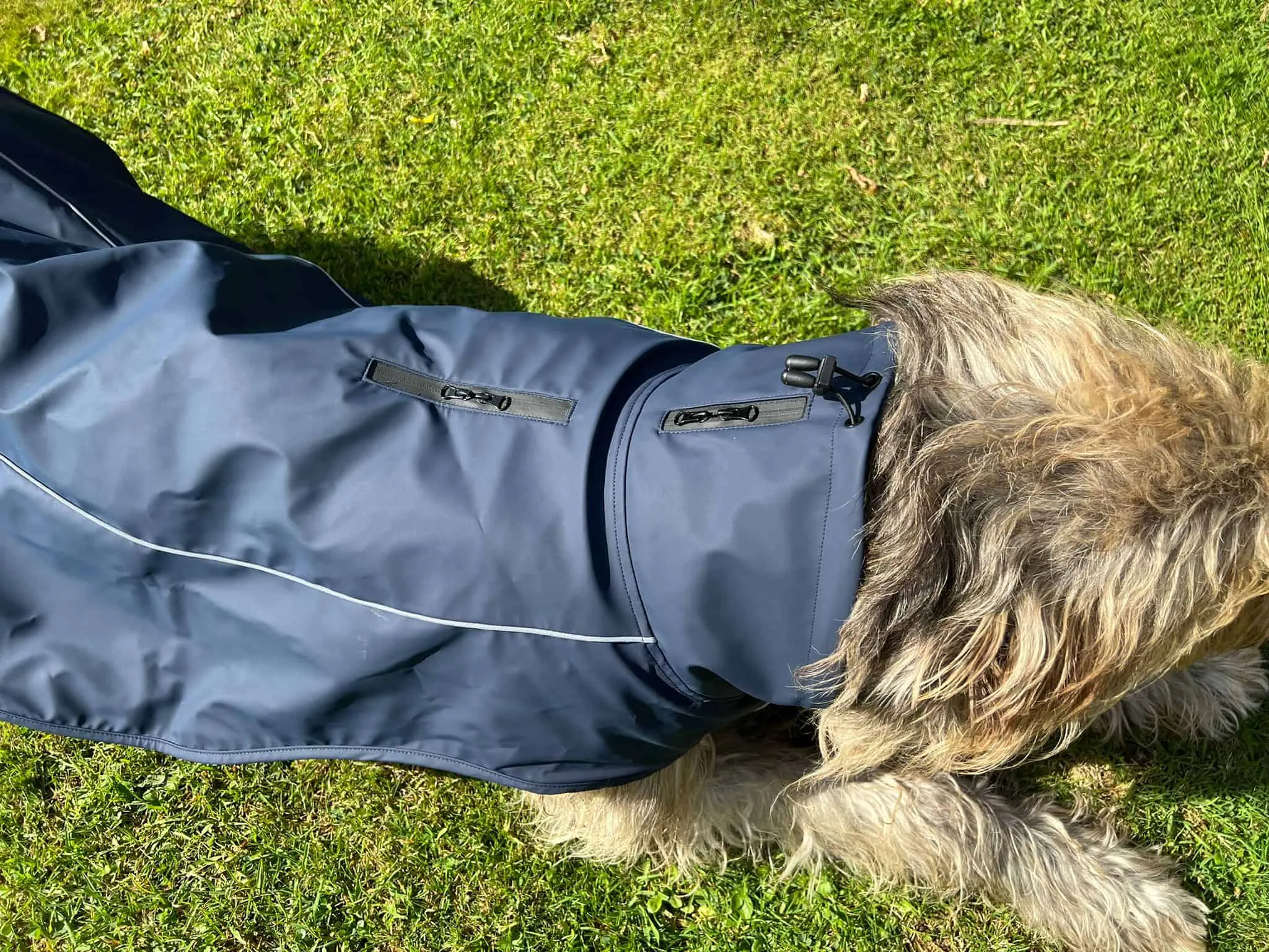 Trixie HUSUM Regenmantel für Hunde im Test – Frontansicht