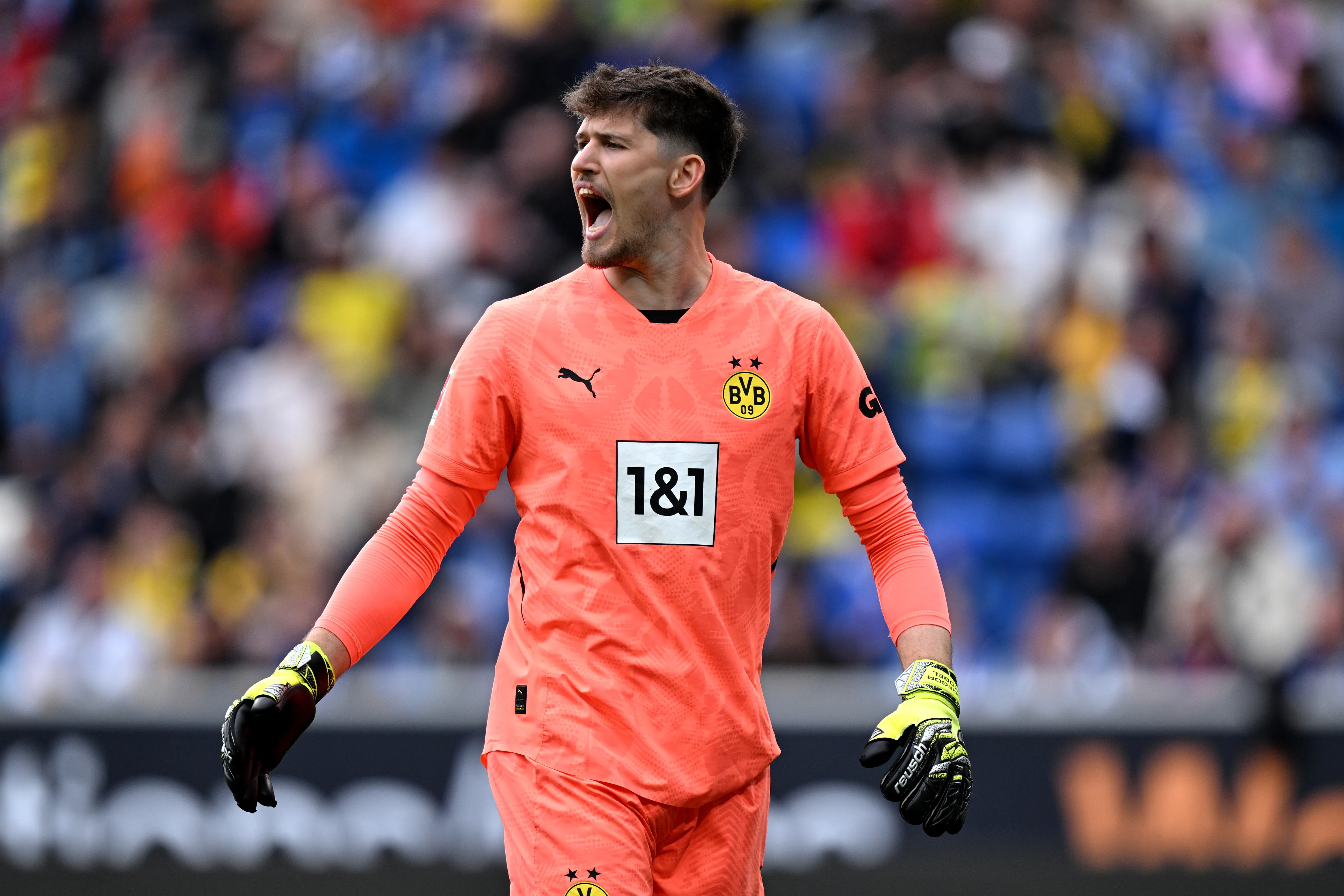 TSG 1899 Hoffenheim v Borussia Dortmund - Bundesliga