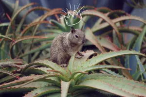 Typische Reisesituation, in der Englischkenntnisse wichtig sind