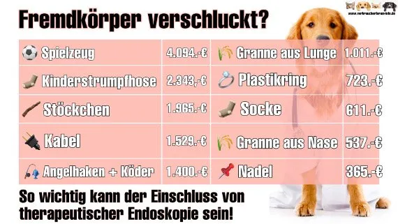 Uelzener Hunde-OP Versicherung Leistungsfälle bei endoskopischer Fremdkörperentfernung