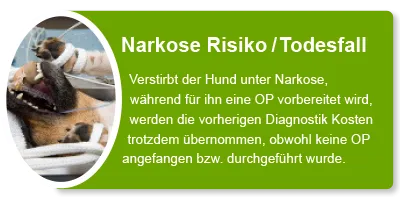 Uelzener Hunde-OP Versicherung übernimmt Narkoserisiko