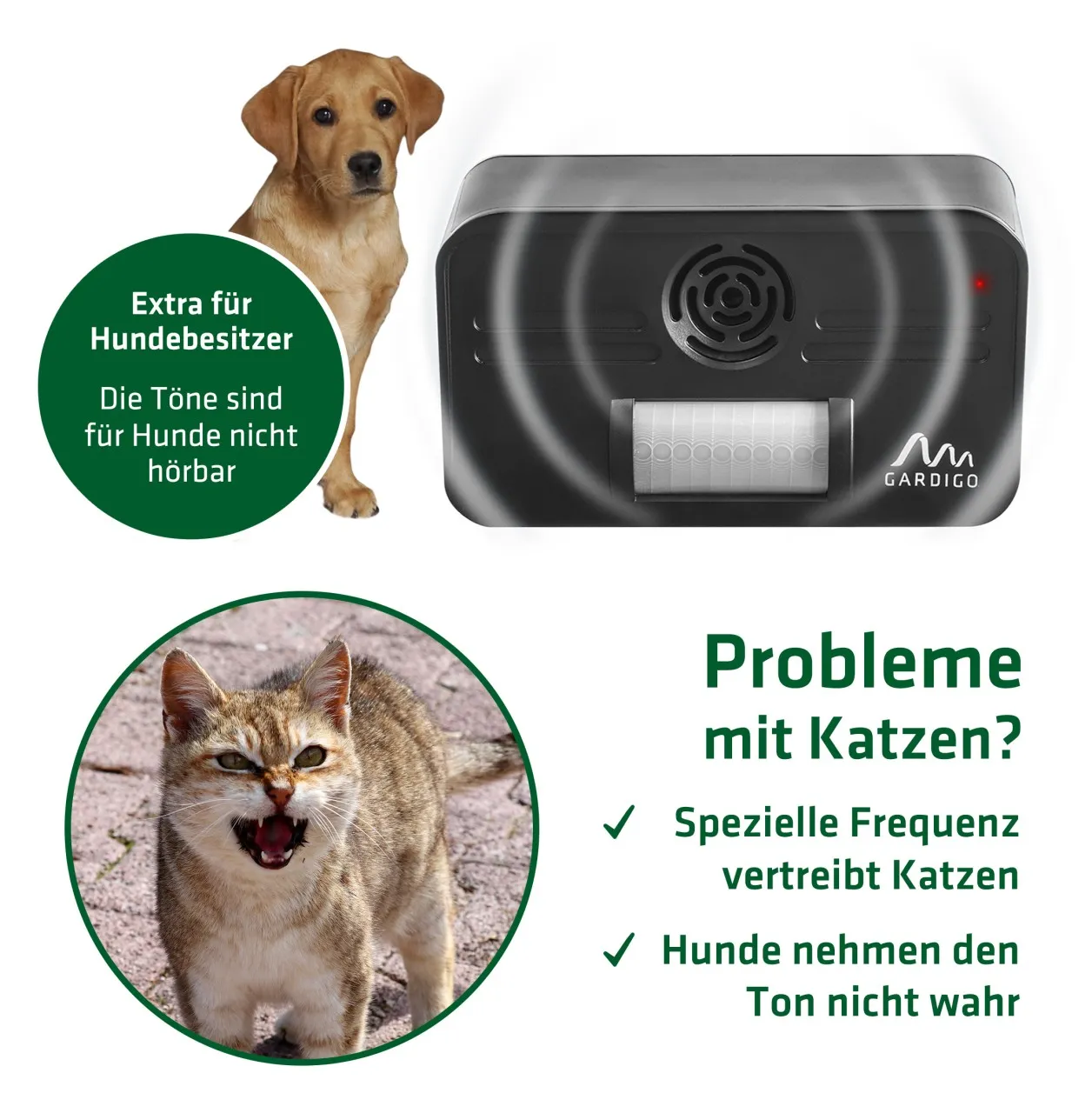 Ultraschall Katzenschreck, sicher für Hundebesitzer