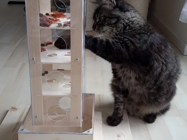 Um den Spieltrieb der Katzen zu fördern, muss die Katzee das Trockenfutter mit Ihren Pfoten aus den Löchern angeln