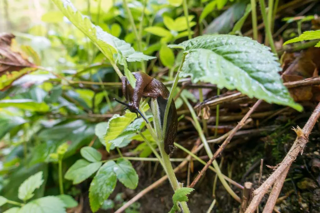 Umweltschutz Kinder Ideen