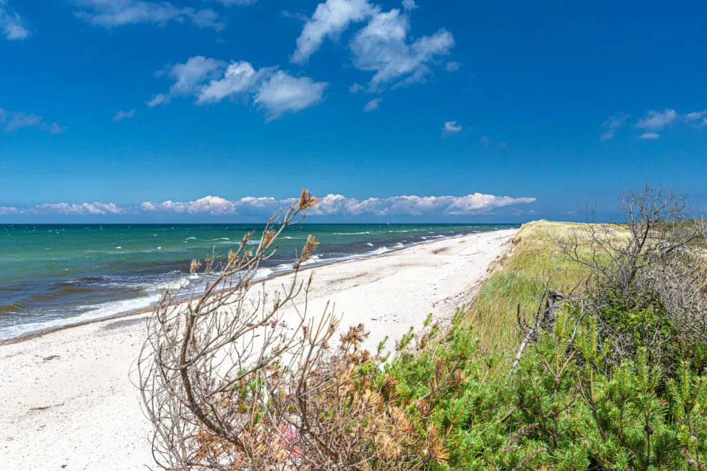 Unberührte Natur am Weststrand Prerow an der Ostsee