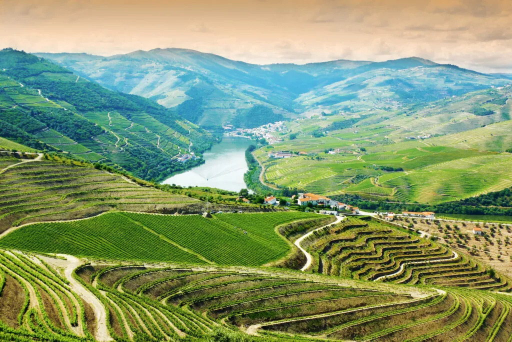 Unbeschreiblicher Ausblick über das Douro-Tal mit seinen Weinhängen