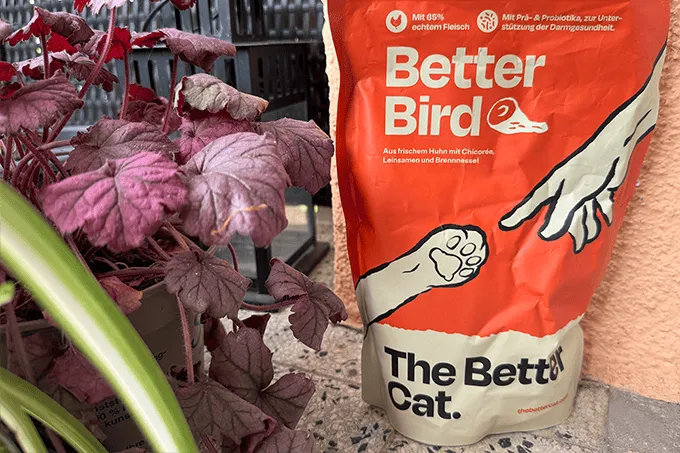 Unsere Luxus-Variante: The Better Cat Better Bird.