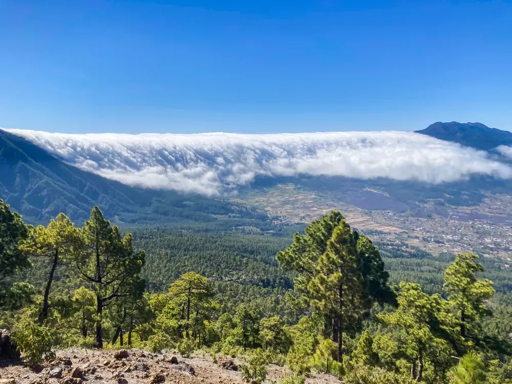 Üppig grüne Natur und Wanderwege auf La Palma, ideal für Familienurlaub im Grünen