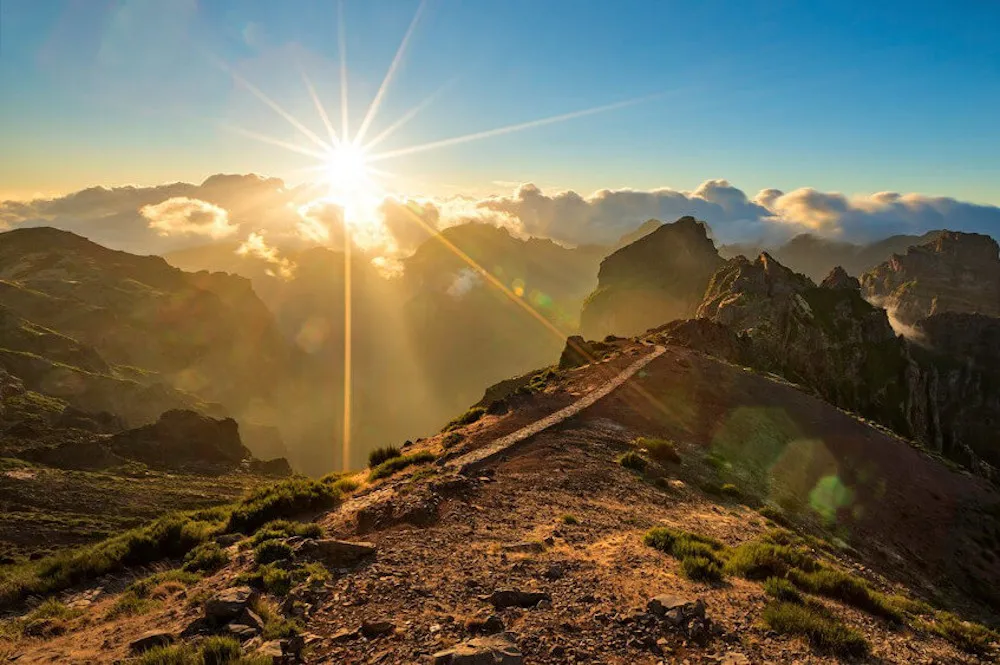 Üppige grüne Landschaft von Madeira