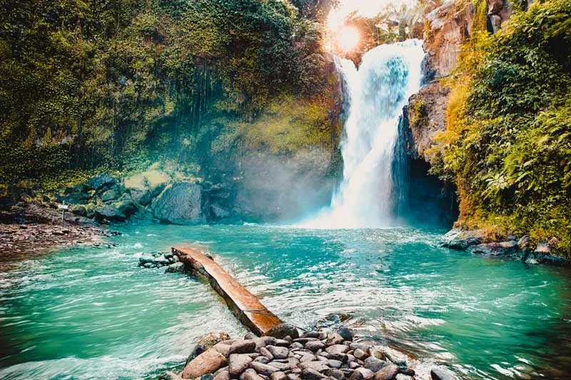Üppiger Tegenungan Wasserfall inmitten der grünen Dschungellandschaft Balis im regenarmen März