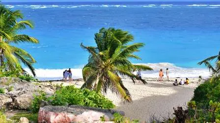 Urlauber entspannen an einem sonnigen Strand auf Barbados, mit Palmen und dem karibischen Meer im Hintergrund.