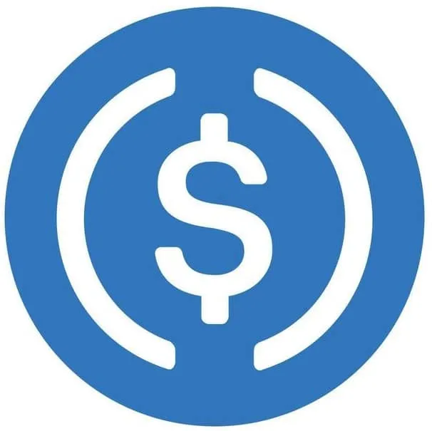 USDC Logo für Zahlung mit USD Coin