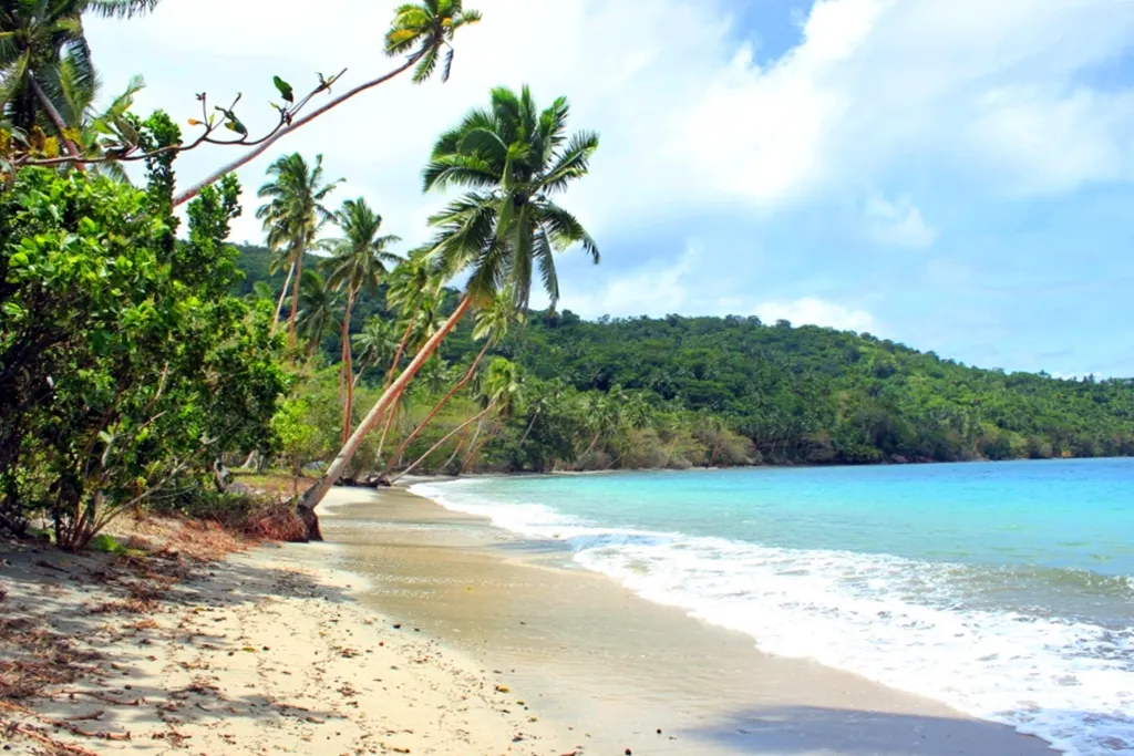 Vanua Levu Taveuni Beach