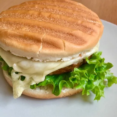 Vegetarischer Cheeseburger aus dem OptiGrill