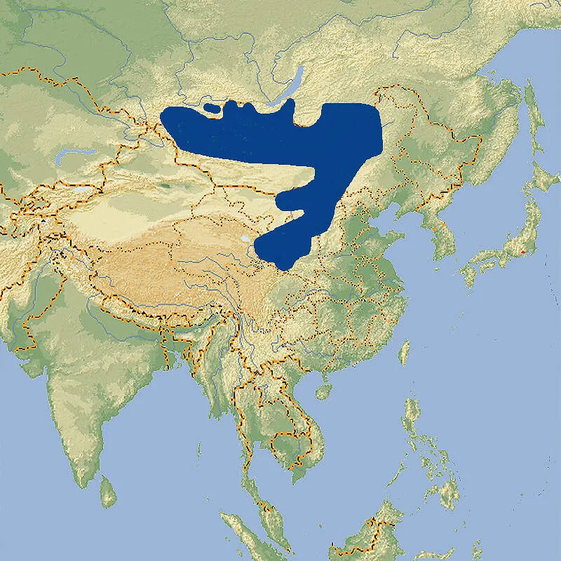 Verbreitung des Daurischen Pfeifhasen