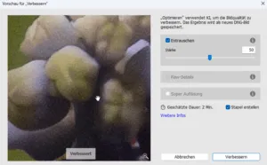 Vergleich der Upscaling-Funktionen in Photoshop, Luminar und Lightroom Classic