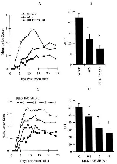Vergleichende Wirkung von ACV und BILD 1633 SE gegen HSV-1 PAAr5-Infektion. Die Tiere wurden kutan mit 106 PFU/Stelle inokuliert, wie in Materialen und Methoden beschrieben. ACV (5%) und BILD 1633 SE (5%) wurden viermal täglich topisch aufgetragen.