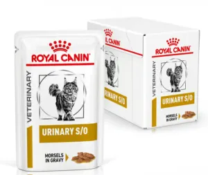 Verpackung von ROYAL CANIN® Veterinary URINARY S/O Nassfutter für Katzen in Soße, empfohlen zur Vorbeugung von Harnwegsproblemen.