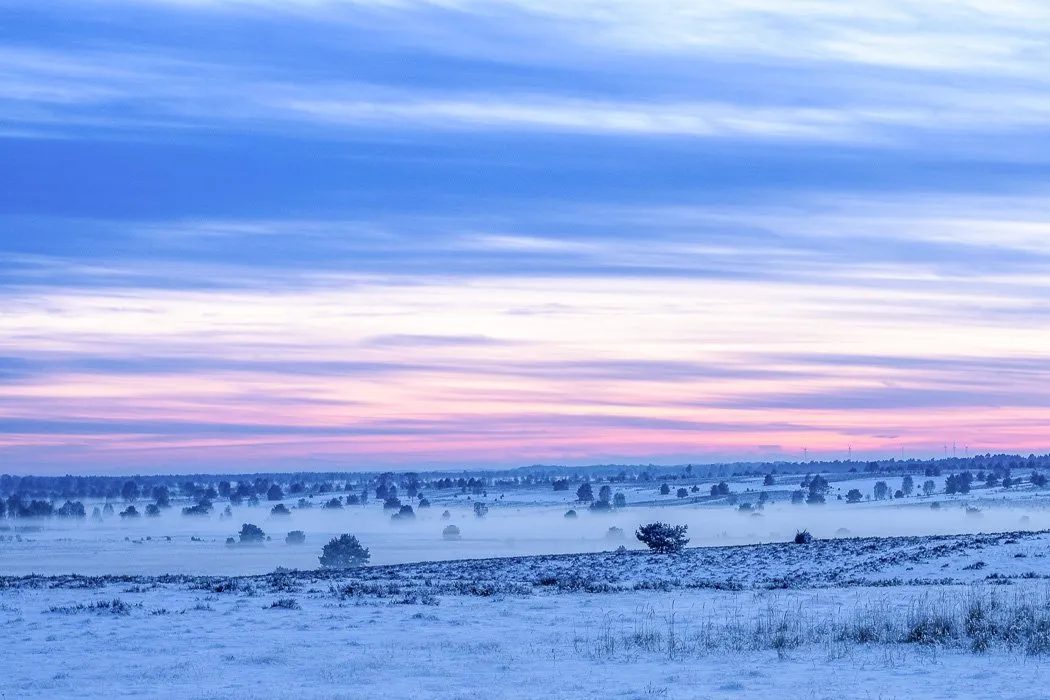 Verschneite Heide in Oberhaverbeck