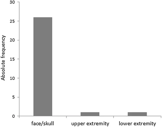 Verteilung der verletzten Körperregionen