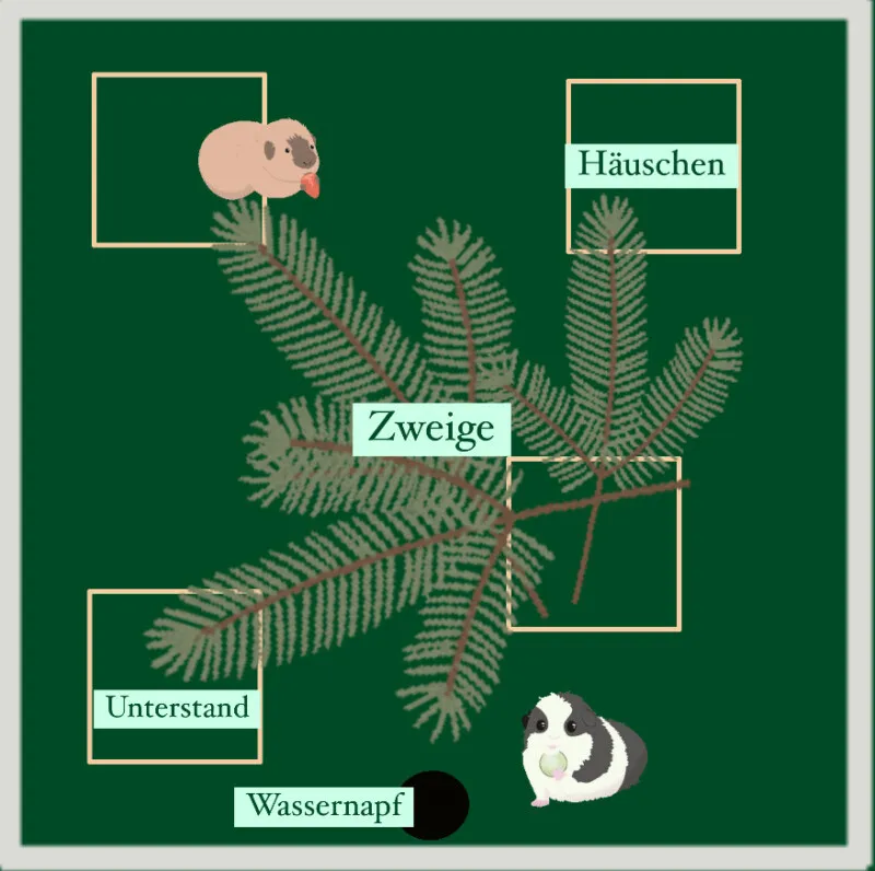 Vielfältige Einrichtungselemente im Meerschweinchengehege: Häuschen, Tunnel und Kuschelsachen