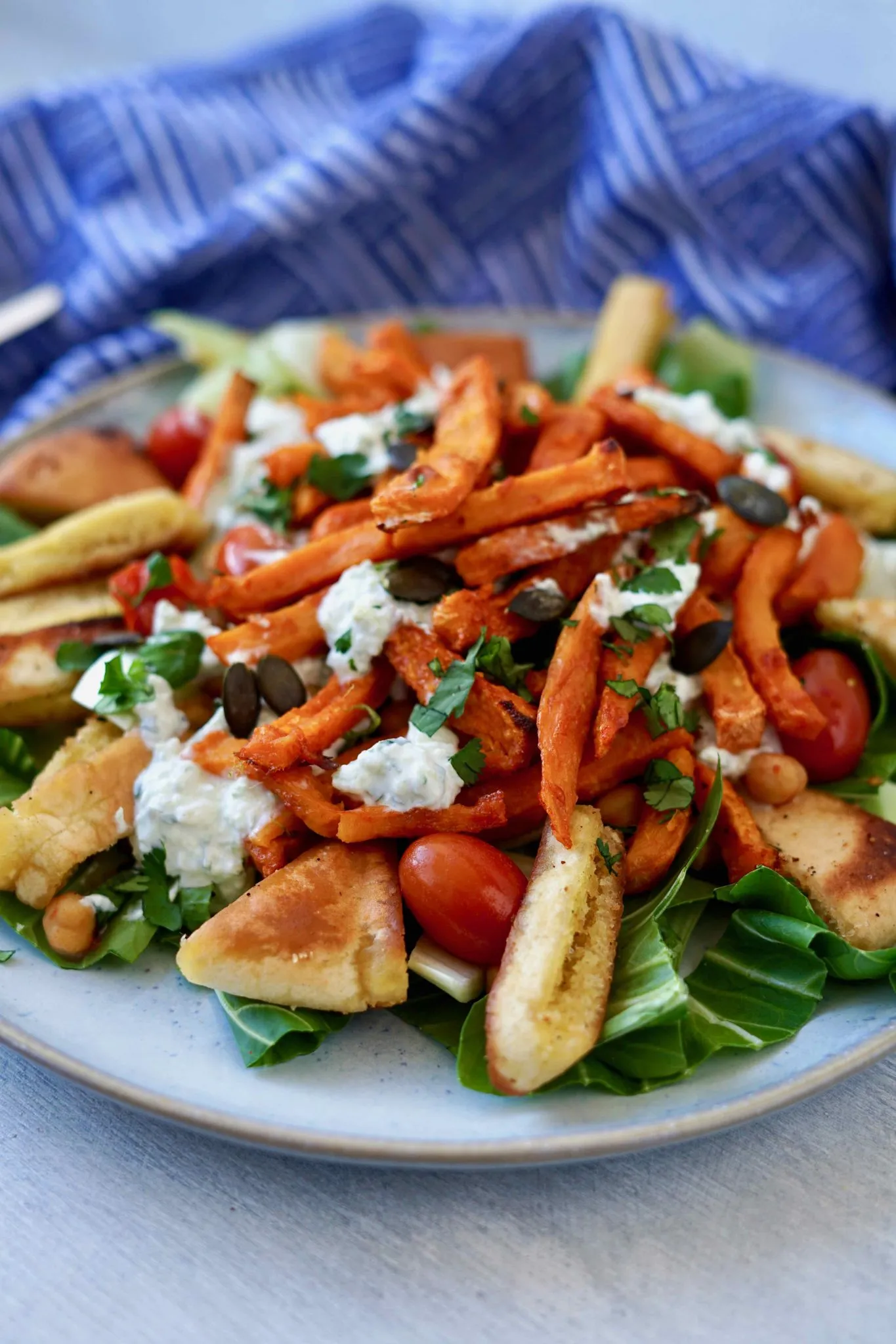 Vielfältiges Süßkartoffel-Pommes Streetfood Gericht