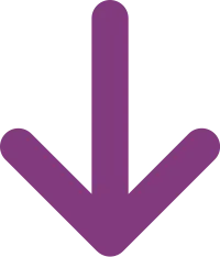 Violetter Pfeil nach unten, symbolisiert den nächsten Schritt im Qualifizierungsprozess zum gesund wachsen