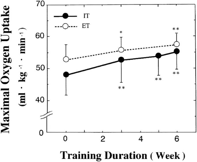 VO2max-Steigerung durch Tabata Training