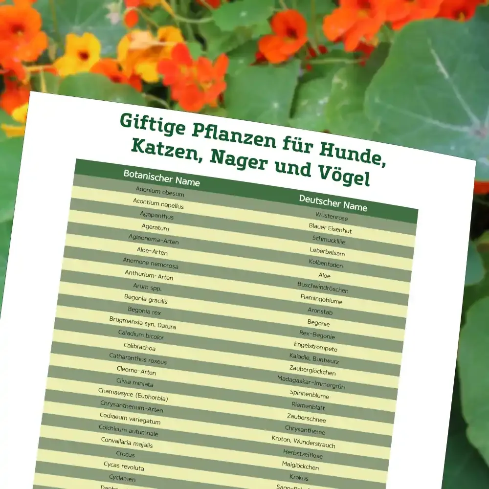 Vorschaubild giftige Pflanzen für Tiere