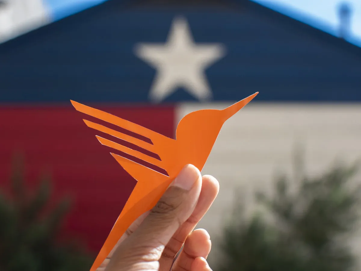 Vorspeisen wie Auberginen-Carpaccio und griechischer Salat im Októ Restaurant