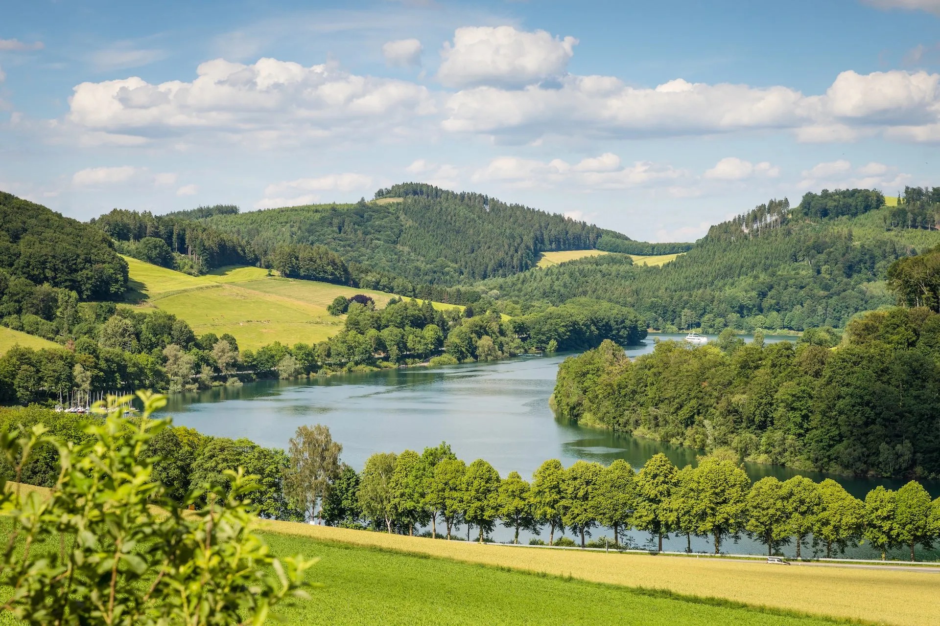 Wälder und Weiden um den Hennesee im Sauerland