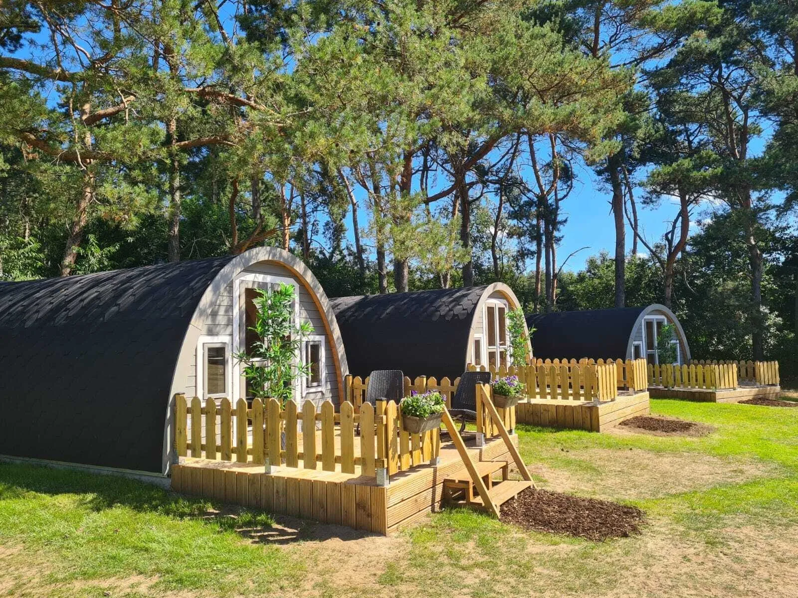 Waldlodge Wilsumer Berge