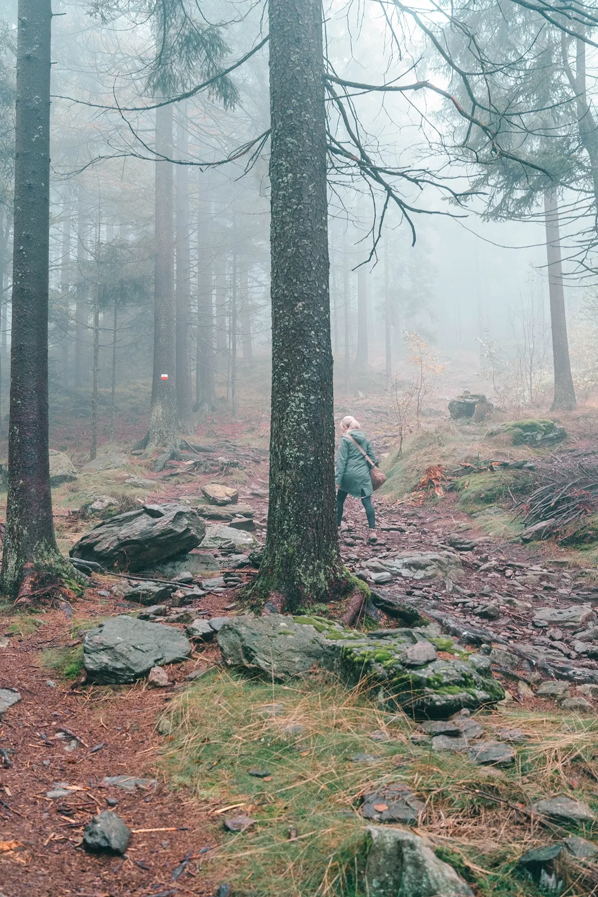 Wanderin im dichten Nebel auf einem Waldweg am Kaitersberg im Bayerischen Wald