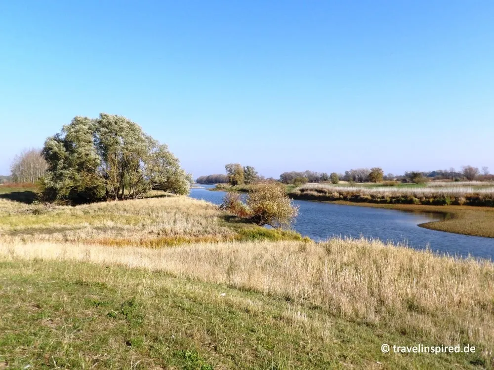 Wandern entlang der Elbe im Biosphärenreservat Niedersächsische Elbtalaue, ein ruhiges Erlebnis für Norddeutschland Unternehmungen