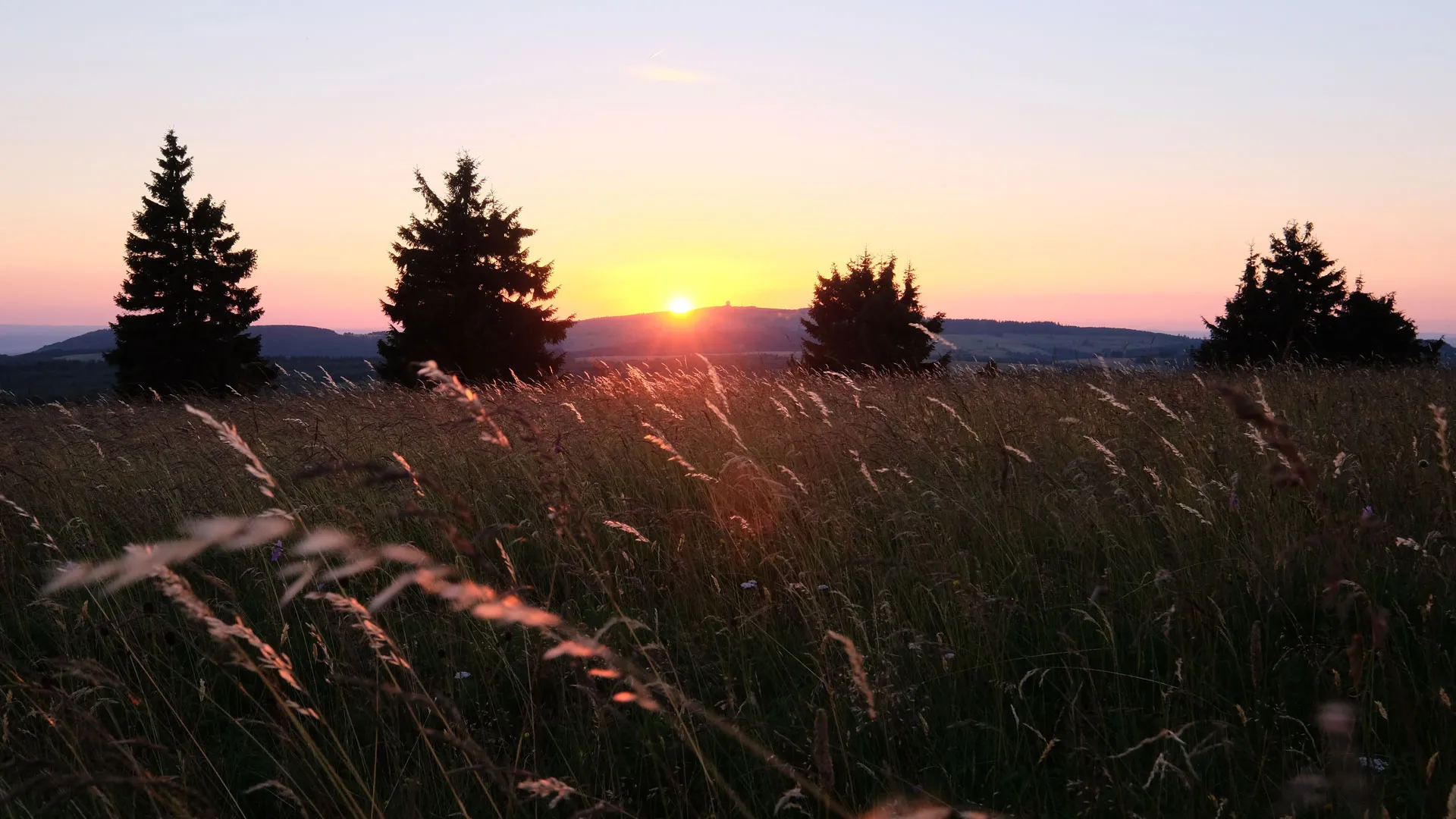 Wandern in der Rhön, eine weite Landschaft mit Wiesen und Hügeln