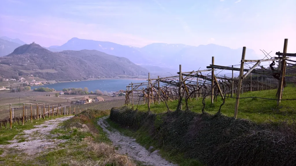 Wanderweg durch die sonnigen Weinberge mit Blick auf den Kalterer See in Südtirol.