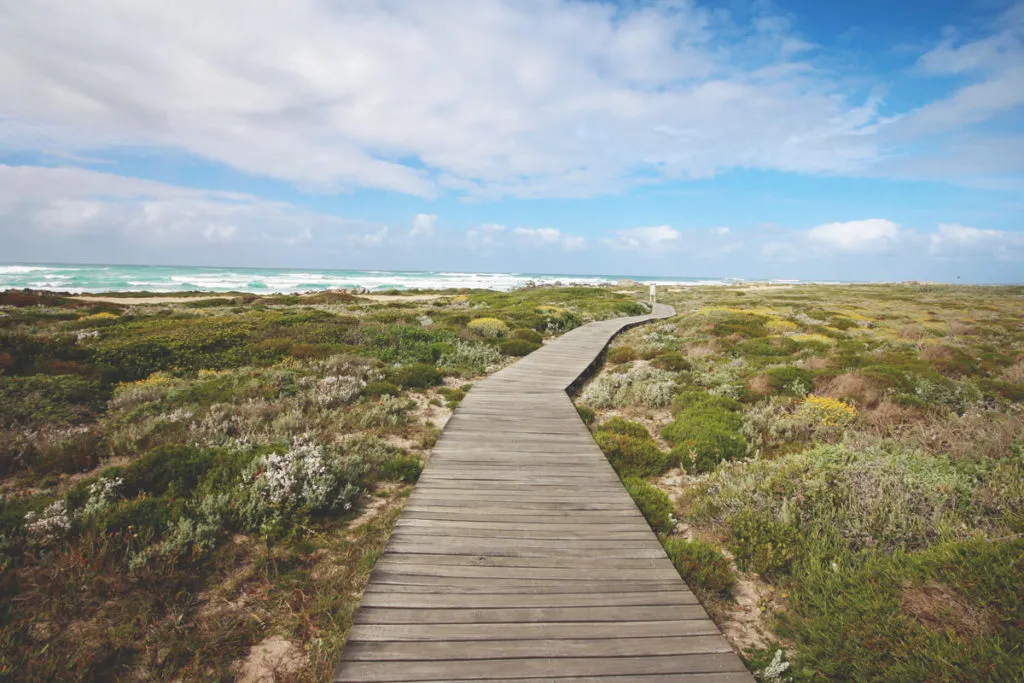 Wanderweg im Kap Agulhas Nationalpark, der zum südlichsten Punkt des afrikanischen Kontinents führt