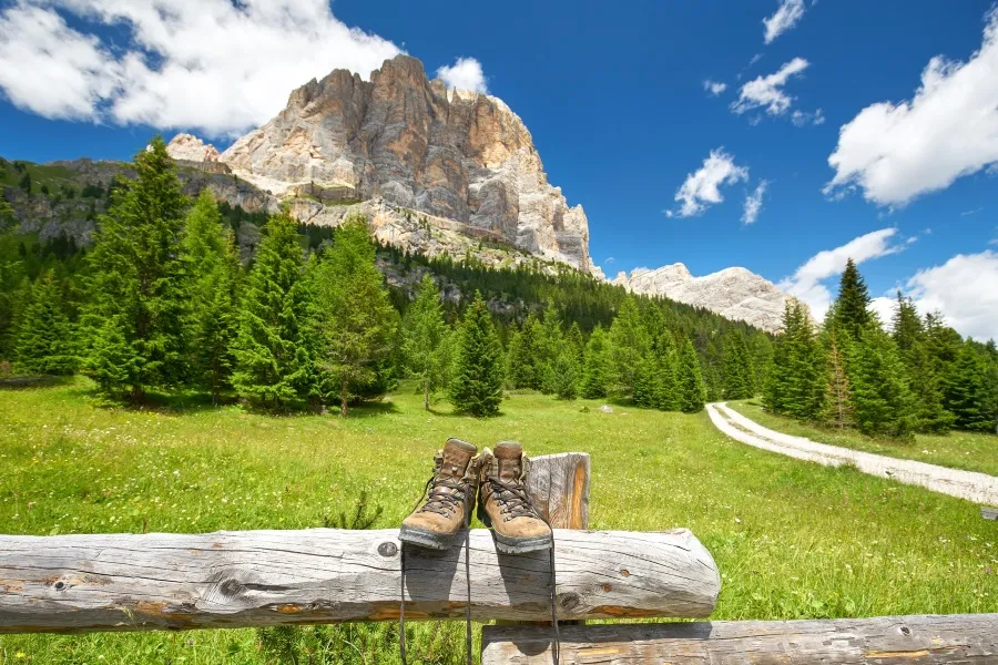 Wanderwege in Südtirol mit malerischen Berglandschaften, grünen Wiesen und vereinzelten Bäumen unter einem strahlend blauen Himmel, ideal für Aktivurlaub im Mai.