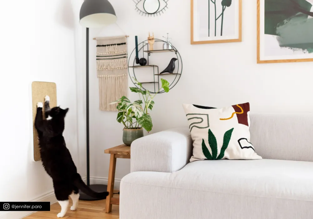 Wandmontiertes Kratzbrett in einem modernen Wohnzimmer