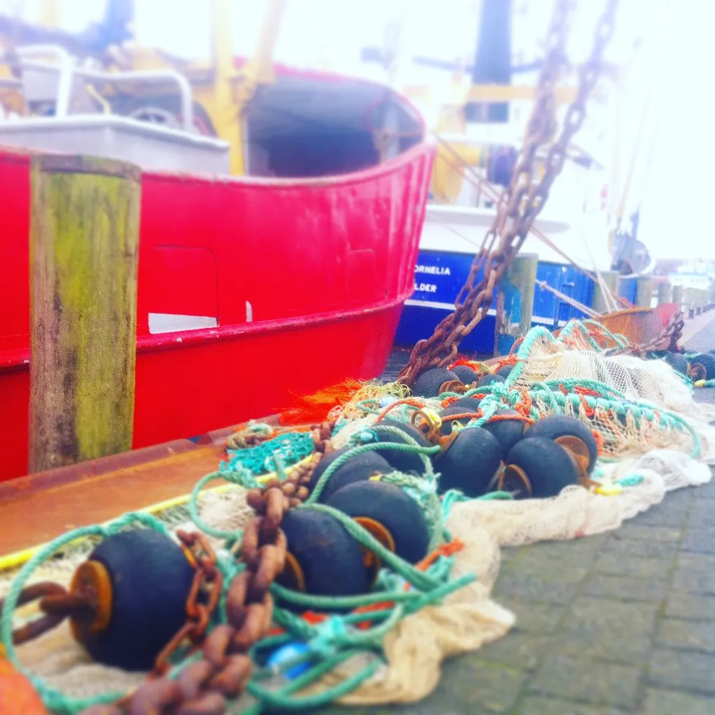 Wattwanderungen sind ein unvergessliches Erlebnis an der Nordsee.