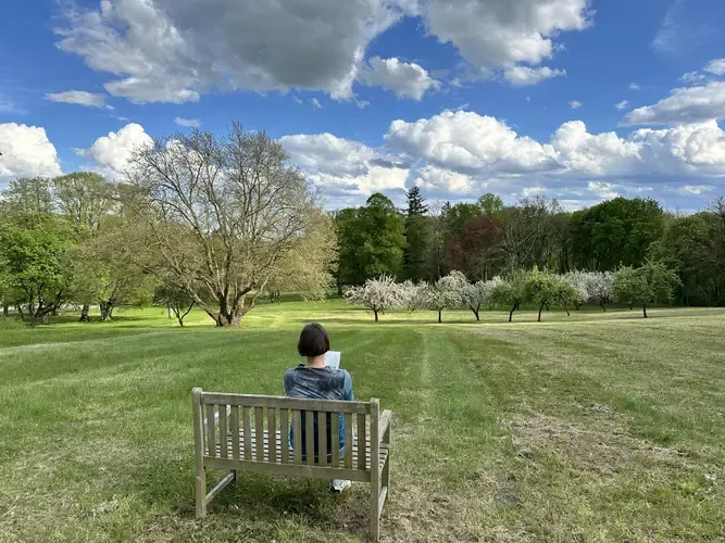 Weg durch die blühende Natur nahe des Parks