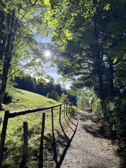 Wegweiser auf dem Tegernseer Höhenweg mit Blick auf den See
